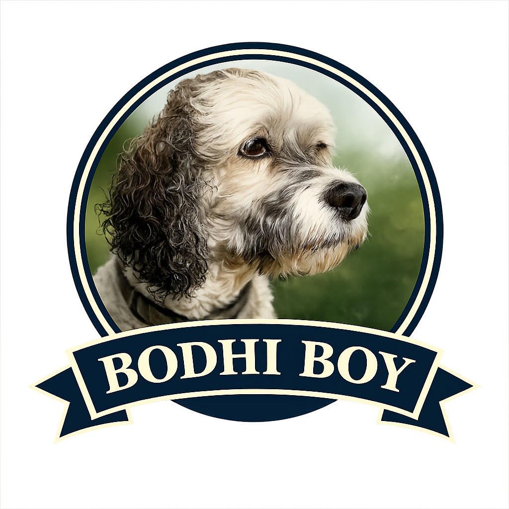 observations are hard to explain