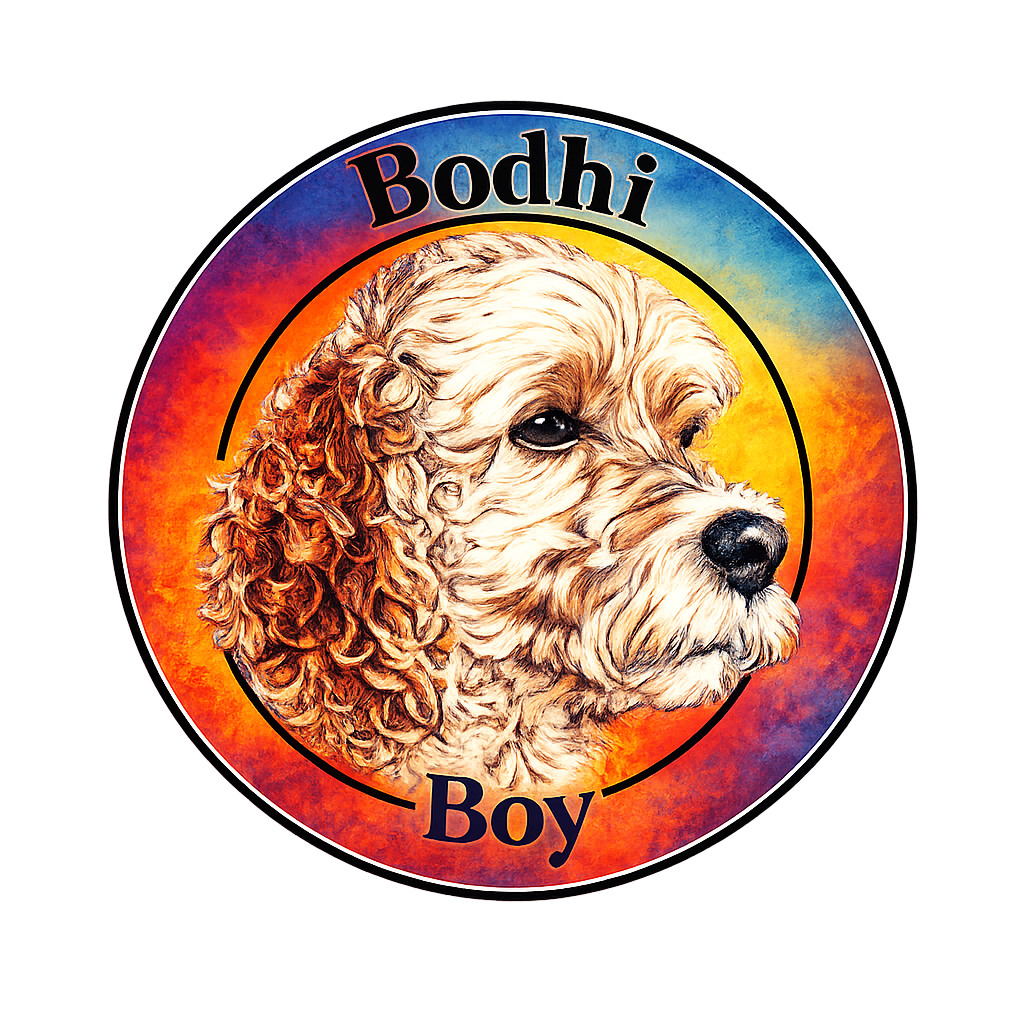 forgiveness is freedom