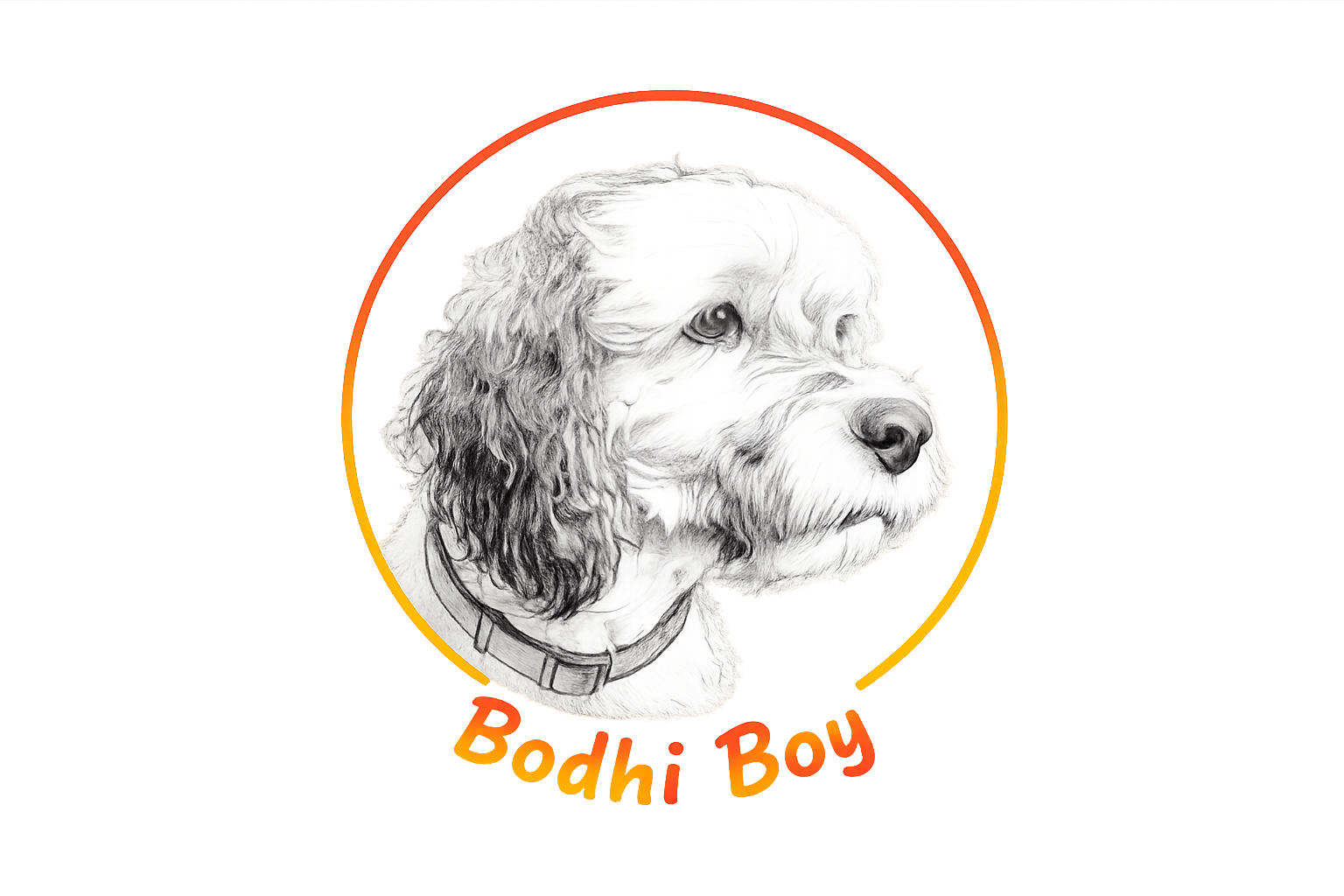 live in the light of love at sunset